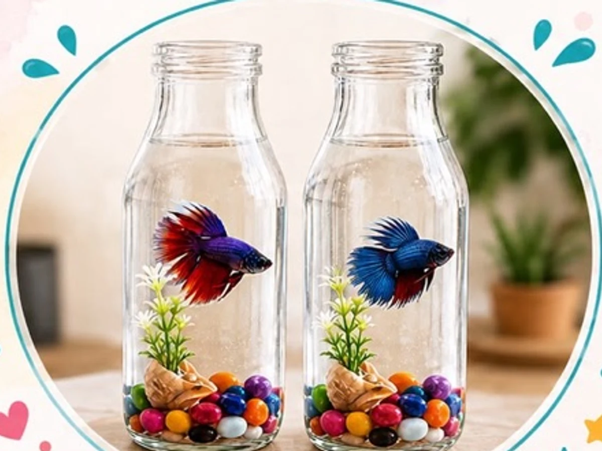 Mini Aqua World Workshop managed party activity in Delhi NCR